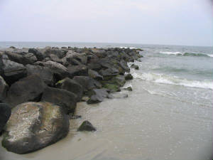 img9679lores.jpg