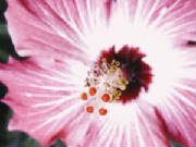 p10100131_lores.jpg