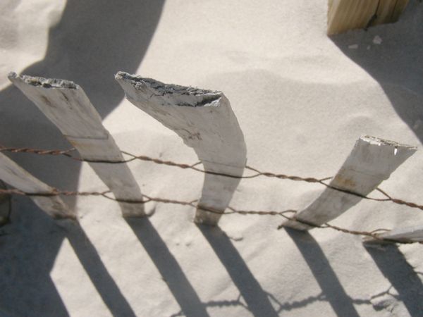 fence.jpg
